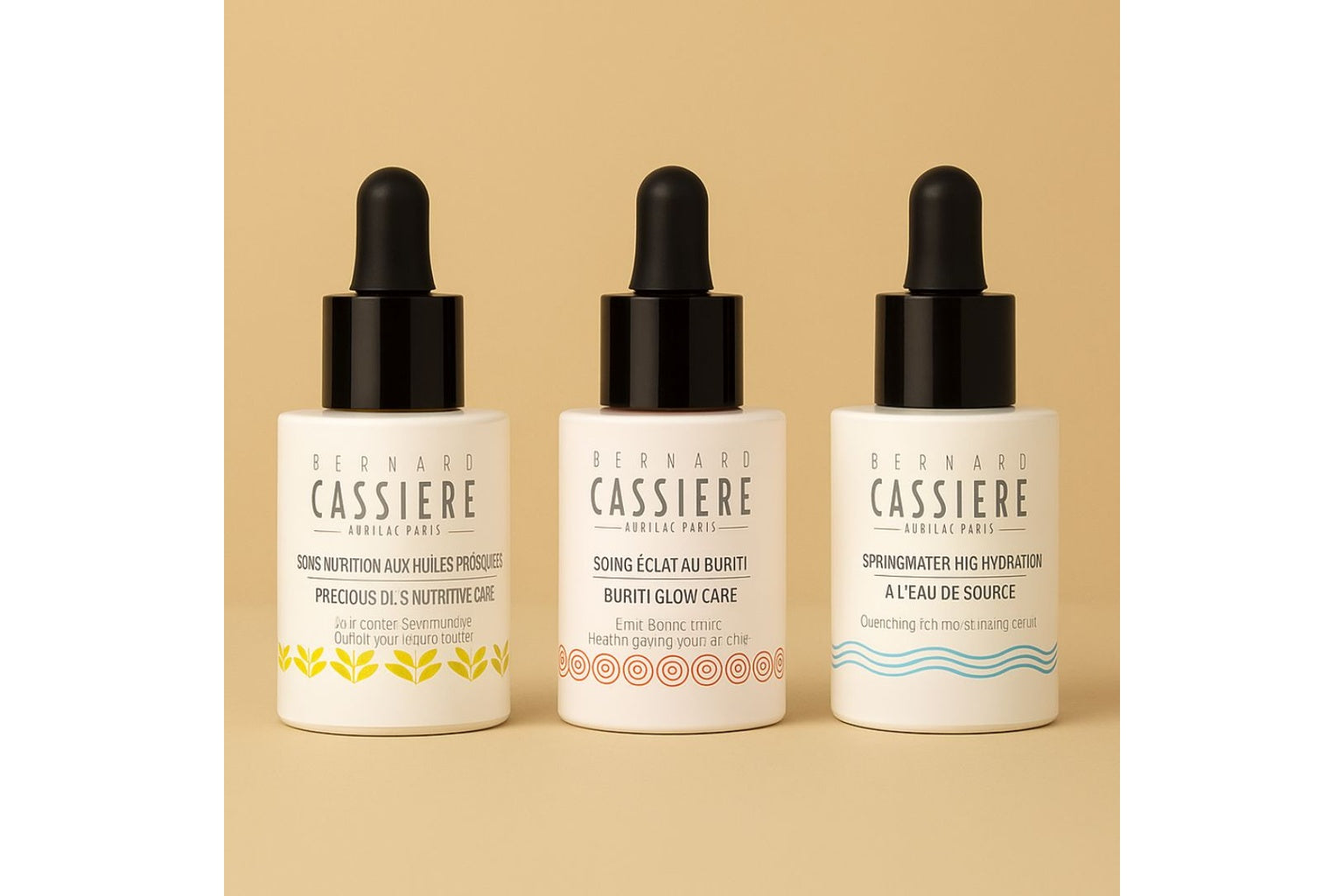 Bernard_Cassiere_-_The_Boosters.jpg