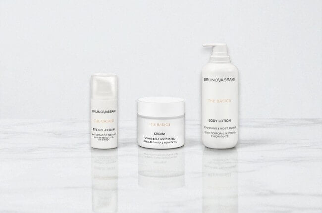 The Basics Bruno Vassari