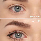 Angel Eyes Mascara - Cejas y pestañas de ARTDECO - Artdeco
