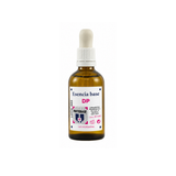 Esencias Base de Phytobase