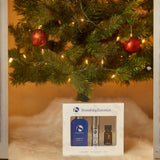 Kit Smoothing Essentials de iS Clinical - Is Clinical