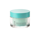 Moisturizing Sorbet Cream - Springwater de Bernard Cassiere - Bernard Cassiere