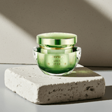 Night Cream - Forest de Phyris - Phyris