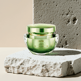 Night Cream - Forest de Phyris - Phyris