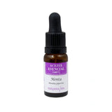 Nirvana Spa - Aceite Esencial Menta Profesional - Nirvana Spa