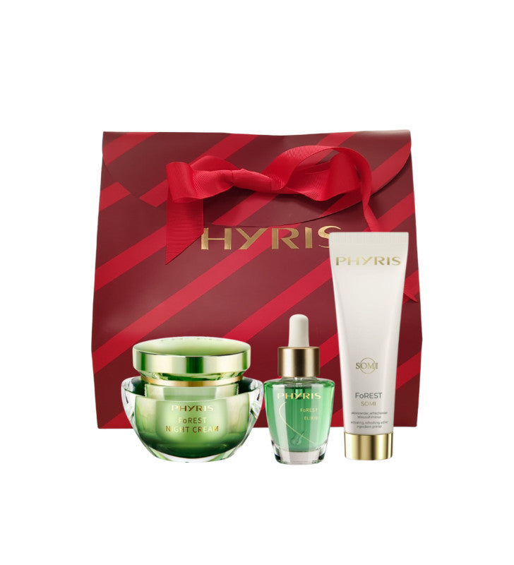 Pack Navidad  Forest Night - Phyris___9503___3789648811