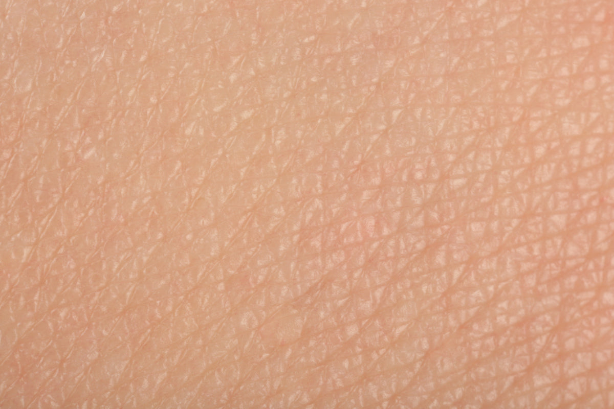PielNormal_Cosmeticos24h_721854932.jpg
